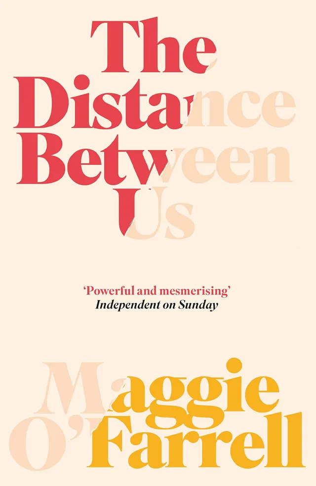The Distance Between Us cover