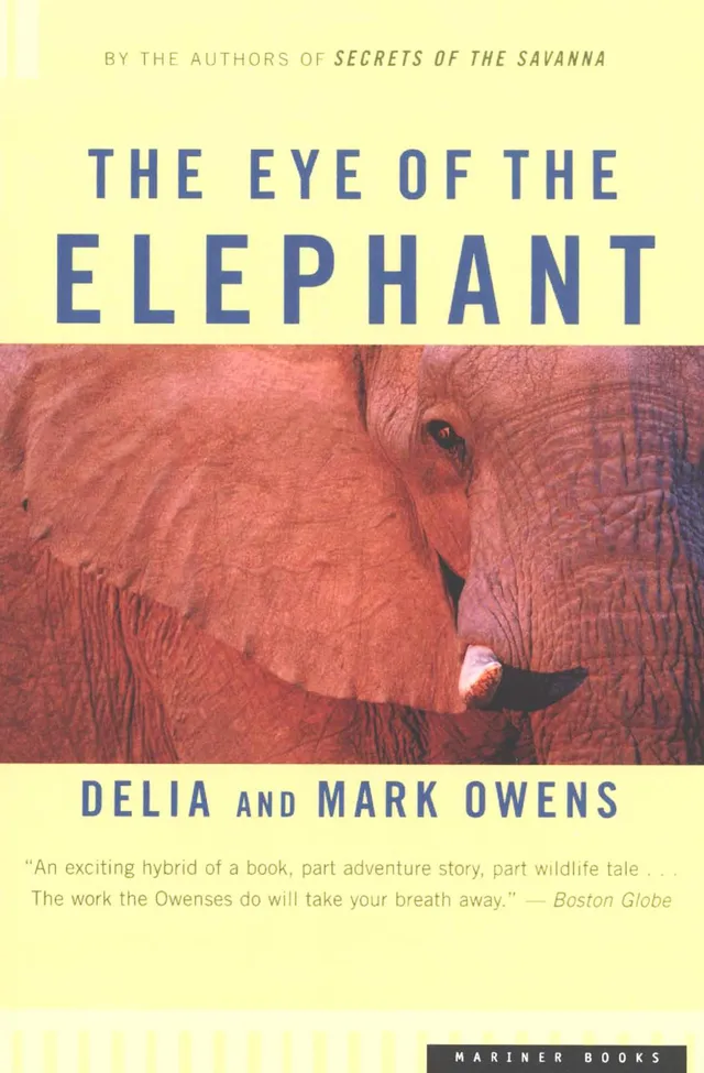 The Eye of the Elephant / Survivor's Song (With: Mark Owens) cover